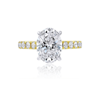 Cathedral Diamond Band Oval Engagement Ring - Marvels Co.