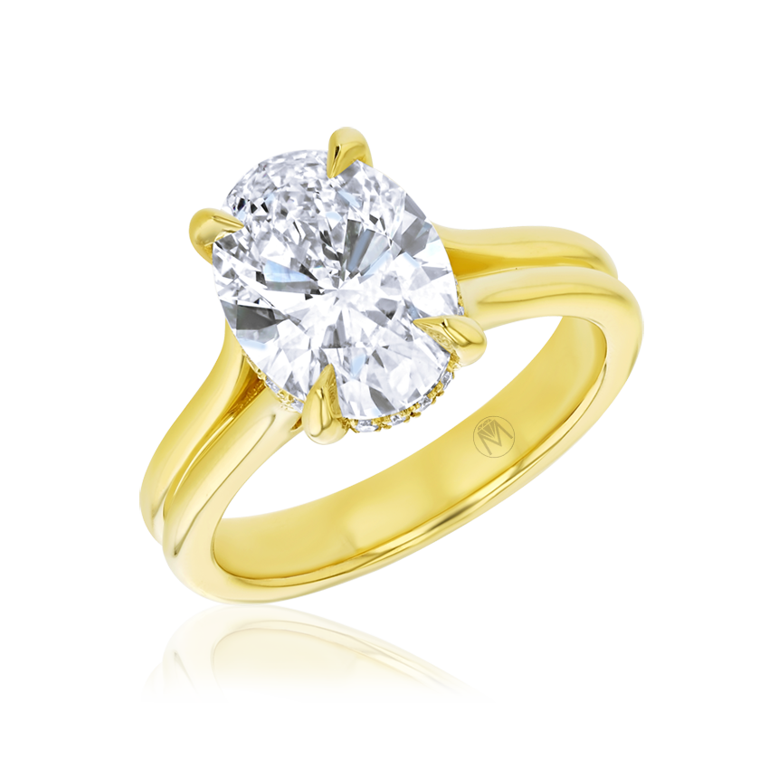 Double-Band Oval Engagement Ring - Marvels Co.