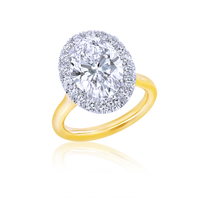 5-Carat Oval Halo Diamond Ring - Marvels Co.